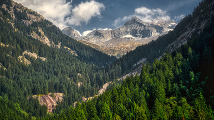 landscape in the mountains of Val di Mello