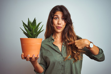 Young beautiful woman holding cactus pot over white isolated background with surprise face pointing finger to himself