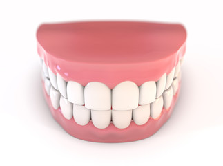 Fake Teeth Set