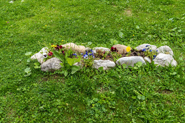 Beautiful flowers in stone pot, on grass field, outdoors