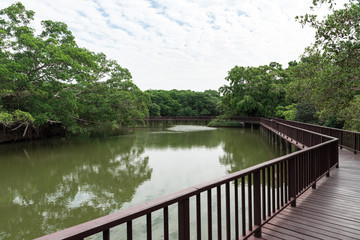 Wooden bridge across water