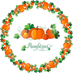lettering, design, set, ornament, round, wreath, circle, letters, leaves, ripe, pumpkins, vector, drawing