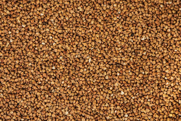 Brown seed of buckwheat as a background