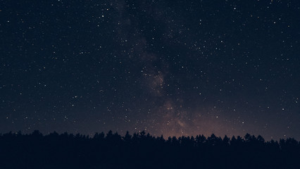 Milky way in the forest landscape affect the viewer's imagination, dense virgin forests on the...