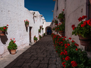 Fototapeta na wymiar Reproduction of typical Castilian-style street with a combination of white walls and pots with geranium flowers. Saint Catherine Monastery (Convento de Santa Catalina), Arequipa city, Peru