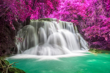 Beautiful waterfall nature scenery of colorful deep forest in summer day