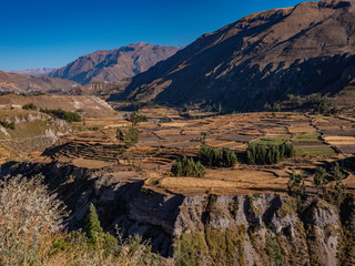 Old inca terraces on the slopes of Colca Valley, Arequipa region, Peru