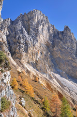 rocky peak mountain with autumnal colors in european Alps
