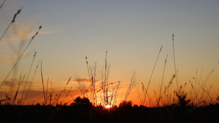Naklejka premium Happy new day concept: summer sunrise over beautiful field and stunning sky