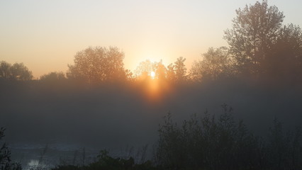 Misty dawn at the river, beautiful summer morning in wood with sun rays and a fog from the river