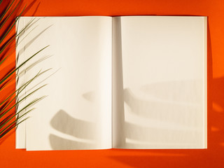 Close-up blank papers with red background
