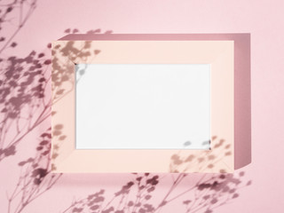 Rose background with a rose photo frame and branch shadows