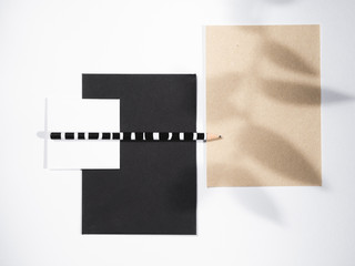 Black and white striped pencil on a black and white blankets and a leaf shadow on a beige blank