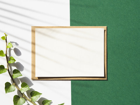 White And Green Background With A White Blanket And A Leafy Branch With Shadow