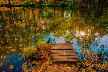 Fototapeta na wymiar beautiful autumn landscape with falling leaves in the lake