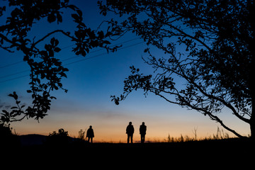 Peoples and trees in sunset
