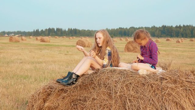 Adorable girls sitting on haystack and playing together in field. Cute teenage girls in checkered shirts and denim shorts sitting together on hay and playing in autumn field during harvest