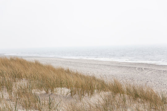 A soft pastel landscape photo of waves in fog crashing against an untouched, deserted beach