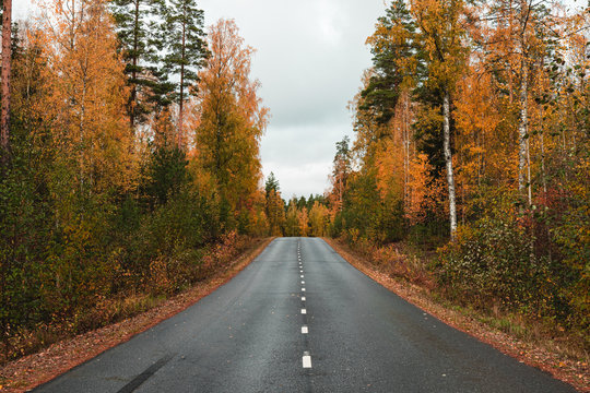 Beautiful scene of highway through Autumn forest.