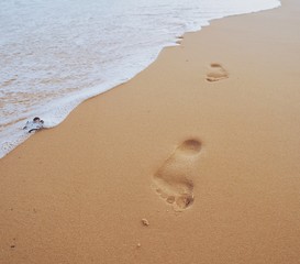Fototapeta na wymiar Footprints on sandy beach near the sea