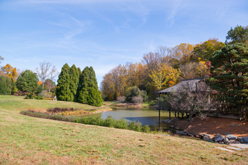 Fototapeta premium park