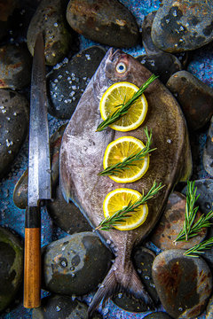 Fresh fish and knife   . Chef preparing raw fish and ingredients for cooking at  stone back ground . Top view with copy space