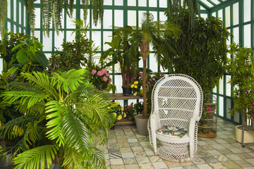 Refined interior of the greenhouse.. - obrazy, fototapety, plakaty