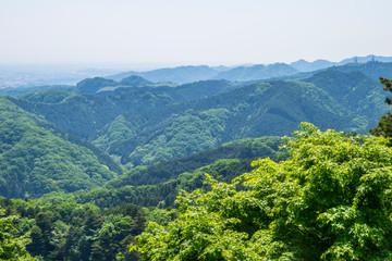 Fototapeta na wymiar 新緑の高尾山からの眺望