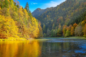 River in the forest, Dunajec, Pieniny Mountains