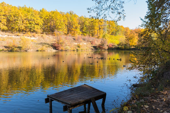 View of a beautiful lake with ducks on a background of yellow-green trees and blue sky © okrip