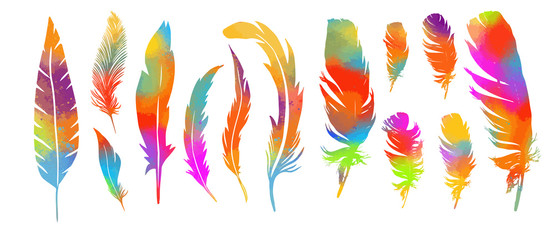 Fototapeta na wymiar A set of rainbow of feathers. Vector illustration