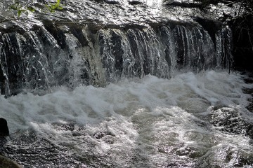 small waterfall in the forest
