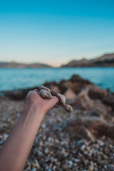 Beach stones in the hand of a young woman