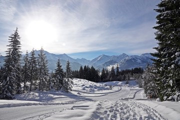 Fototapete bei efototapeten.de bestellen   