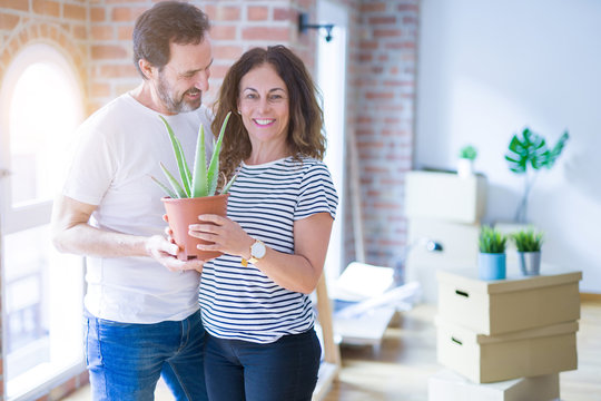 Middle age senior romantic couple holding aloe vera plant smiling happy for moving to a new house