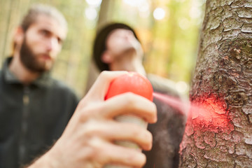 Hand mit Sprühdose markiert einen Baum