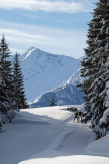 Fototapeta na wymiar nordic skiing in the snow capped mountain