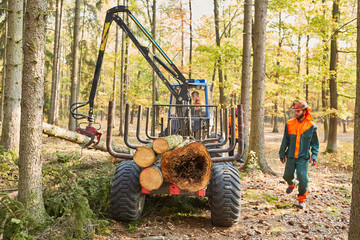 Waldarbeiter mit Forwarder beim Baum fällen