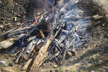fire and ashes