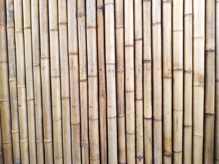 Horizontal row of dry bamboo stakes form a solid fence
