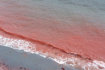 red waves on beach