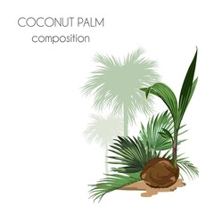 Cosmetic packaging template. Coconut nut oil beauty product.  Exotic botanical design for cosmetics, spa, perfume, health care products, aroma, wedding invitation. With place for text.