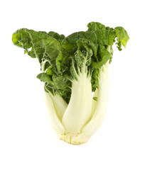 Fresh pakchoi cabbage on white background