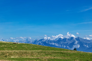 Fototapeta premium モンブラン