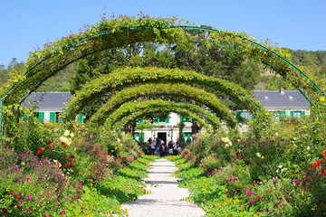 Haie du jardin de Claude Monet - 1