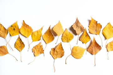 Naklejka premium Dry leaves