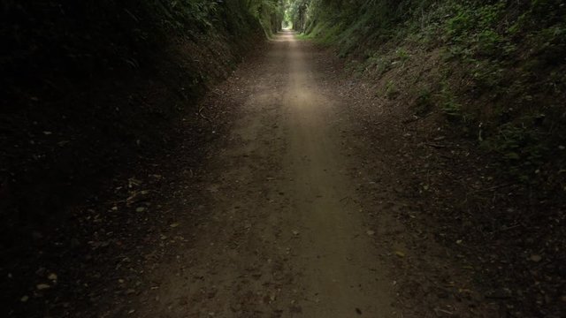 The green way of the carrilet path of Olot