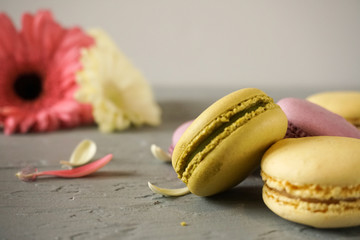 macaroon