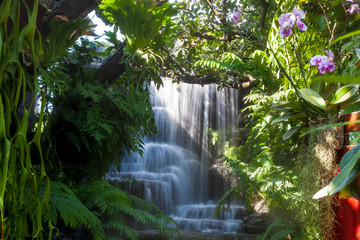 waterfall in the forest with big tree and flower