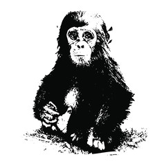 Obraz premium Hand drawn Monkey. Natural colors. Illustration. Isolated on white background